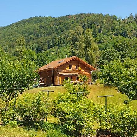 Chalet Des Charbonniers Avec Etang Saint-Maurice-sur-Moselle Luaran gambar