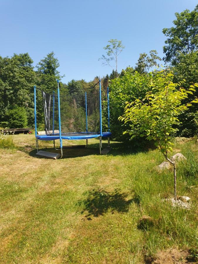 Chalet Des Charbonniers Avec Etang Saint-Maurice-sur-Moselle Luaran gambar