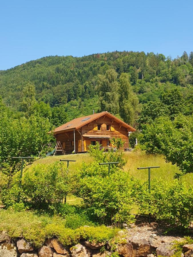 Chalet Des Charbonniers Avec Etang Saint-Maurice-sur-Moselle Luaran gambar